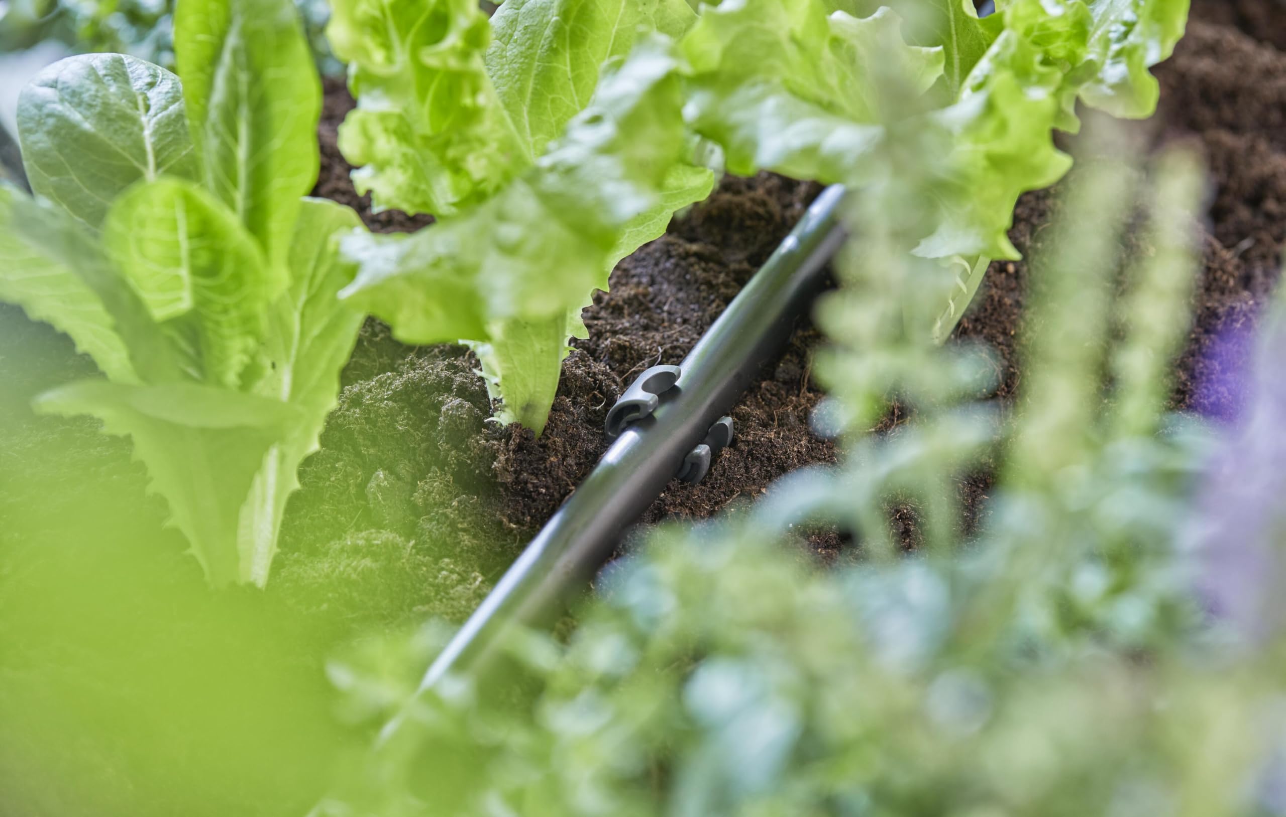 gardena-micro-drip-system-rohrhalter-13208-20-10-st-ck-zur-befestigung-von-13-mm image 3