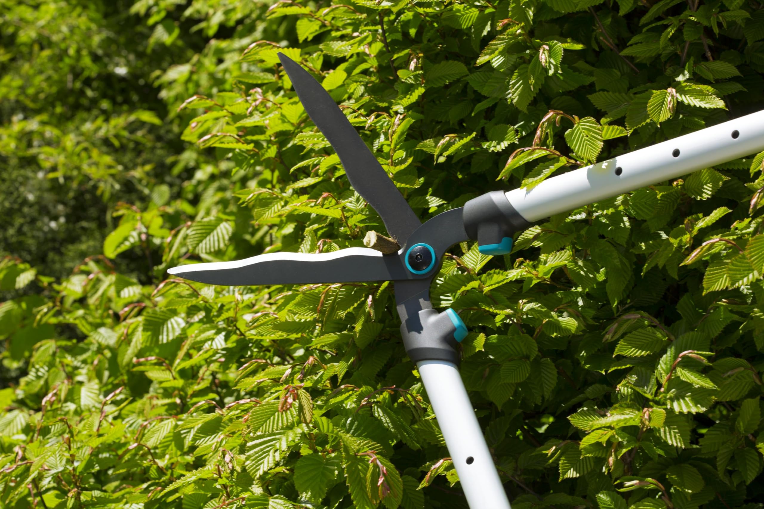 gardena-heckenschere-telecut-12304-20-leichte-heckenschere-mit-23-cm-stahlklinge image 3