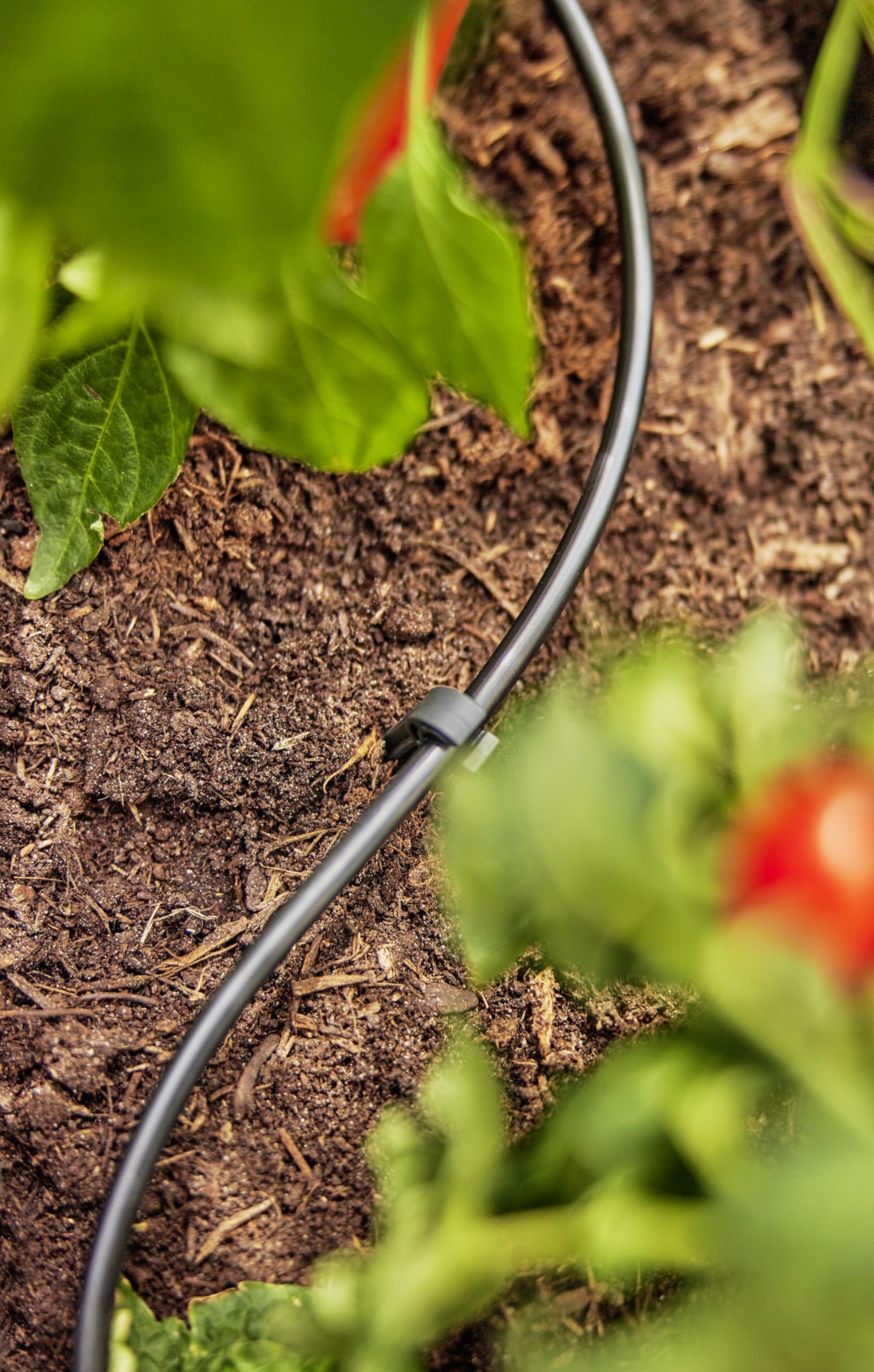 gardena-micro-drip-system-verteilerrohr-4-6-mm-3-16-zoll-50-m-flexibel-verlegbar image 4