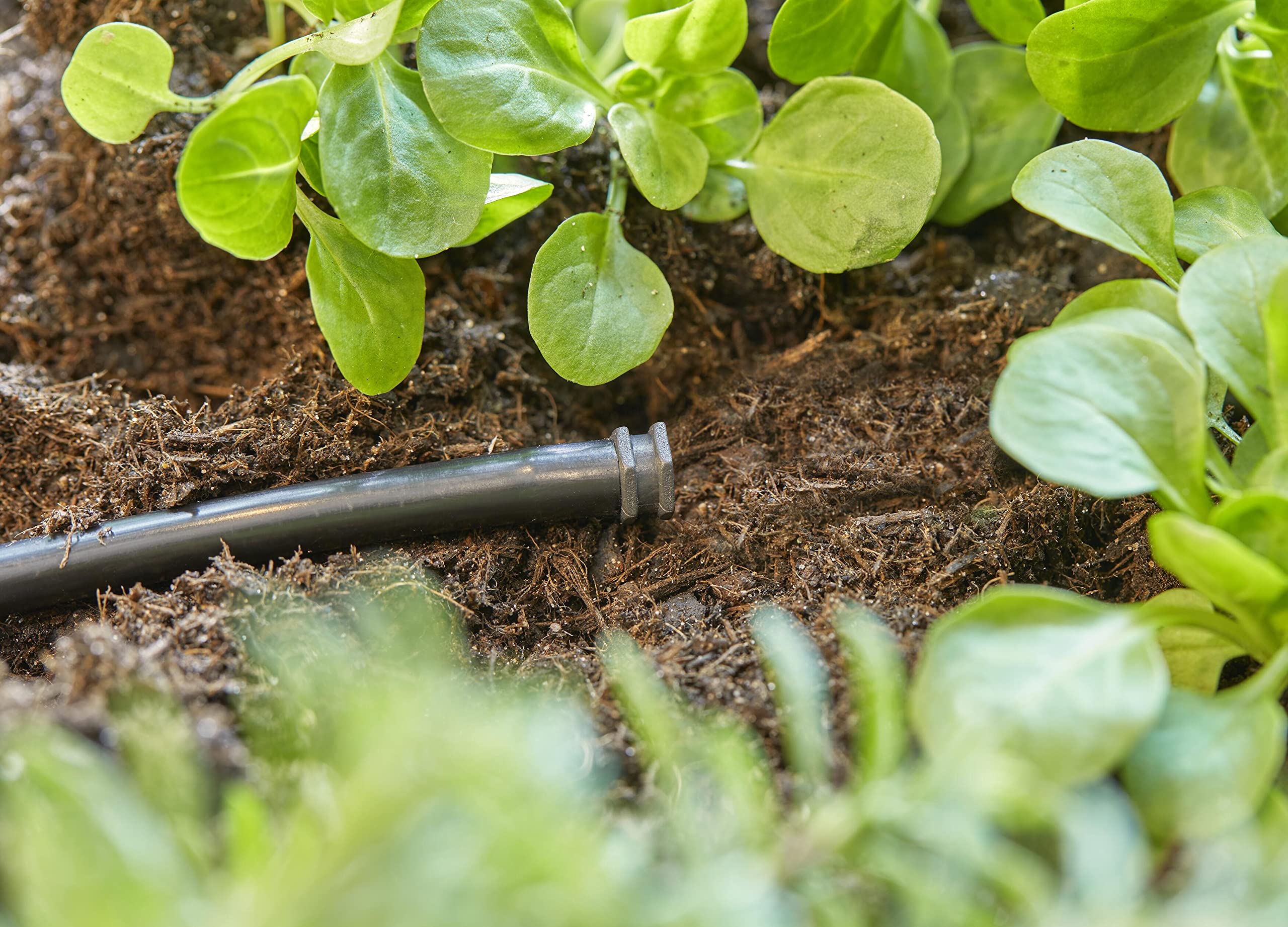 gardena-micro-drip-system-verschlussstopfen-4-6-mm-3-16-zoll-13215-20-10-st-ck-w image 3