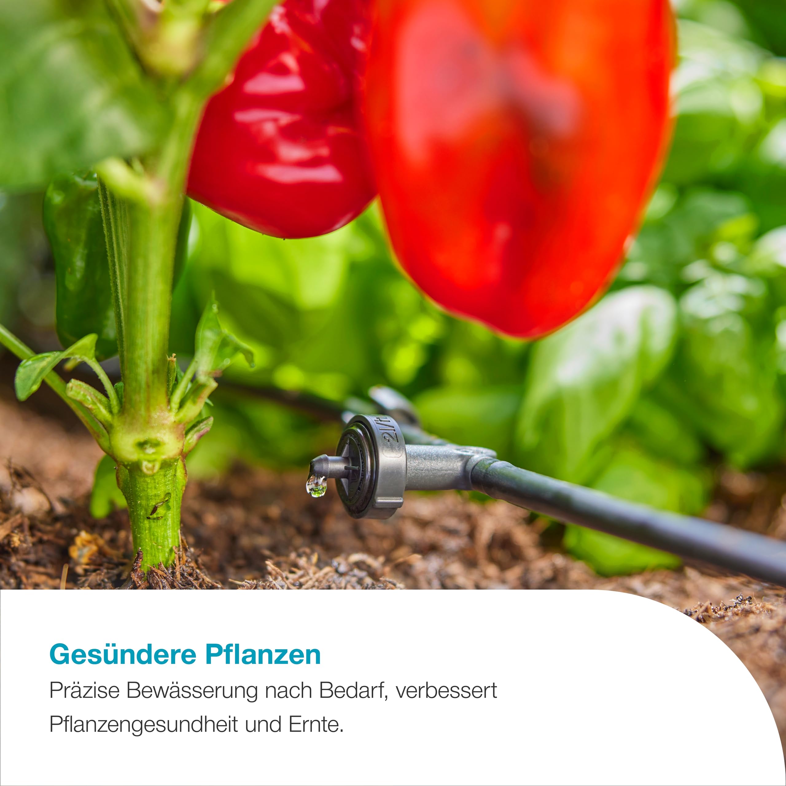 gardena-aquabloom-l-set-autarkes-solar-tropfbew-sserungssystem-f-r-balkon-terras image 5
