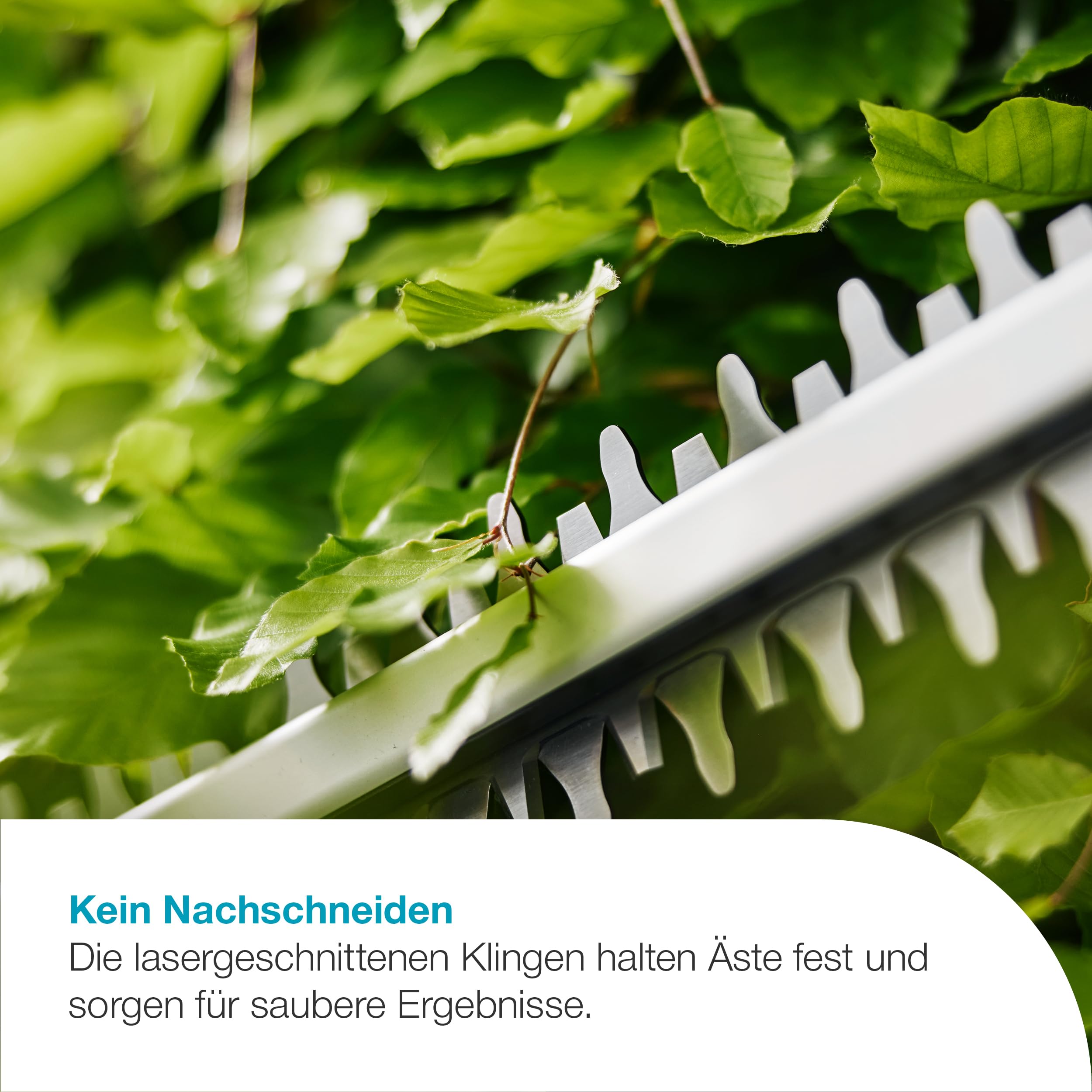 gardena-akku-heckenschere-easycut-55-18v-p4a-ready-to-use-set-lasergeschnittene- image 2