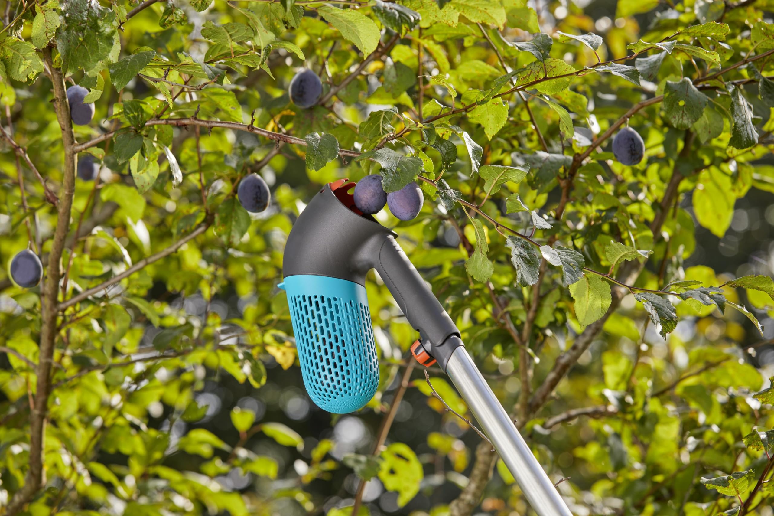 gardena-combisystem-beerensammler-17400-20-erntehelfer-mit-0-8-l-korb-drehbarem- image 6