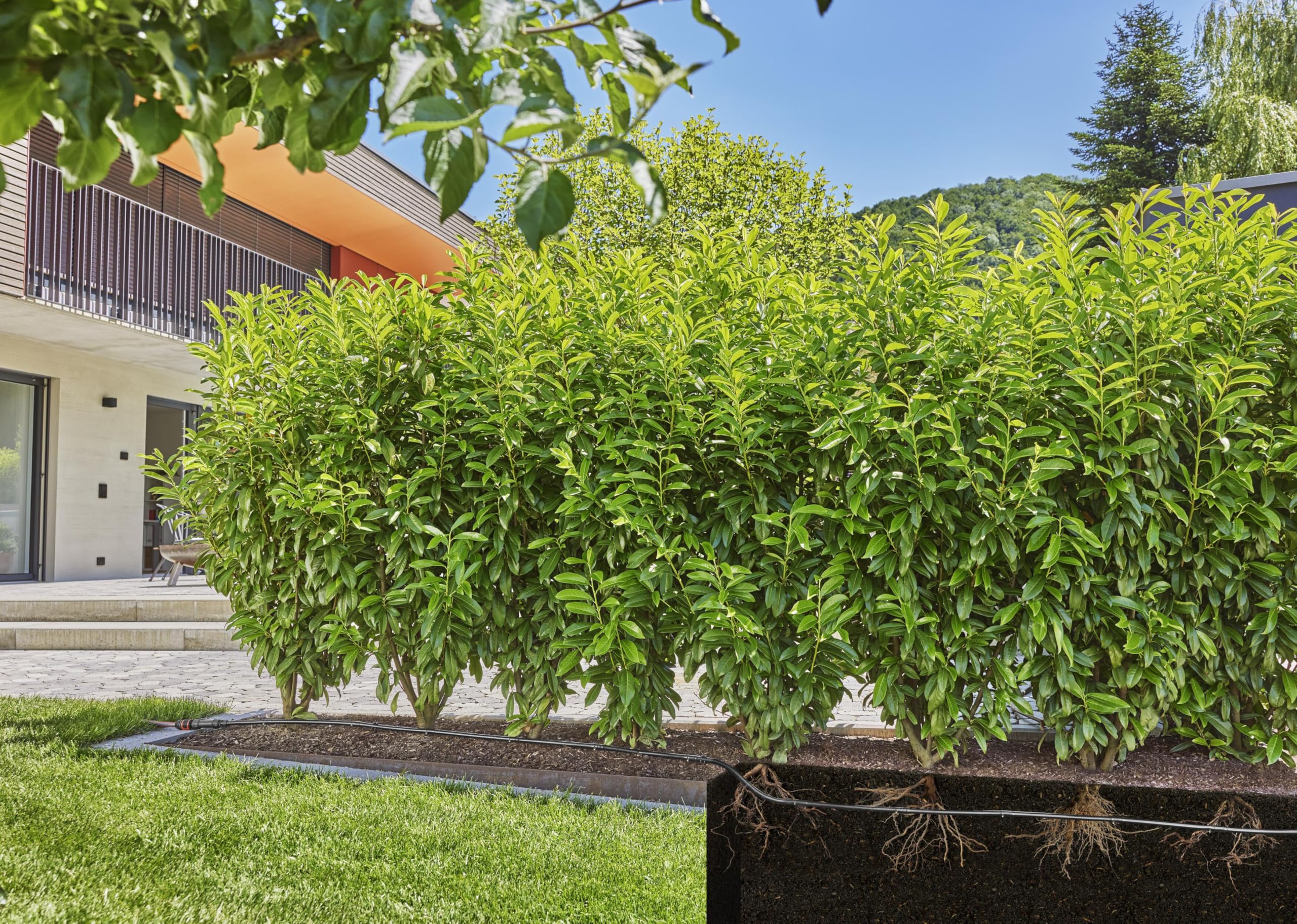 gardena-micro-drip-system-tropfbew-sserung-set-hecke-str-ucher-25-m-13500-20-rea image 6
