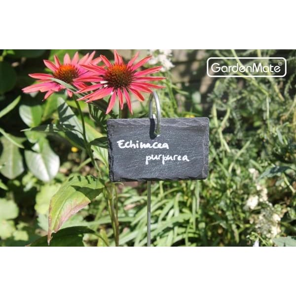gardenmate-10x-pflanzschilder-schiefer-am-metallstab-h-55-cm-stil-naturell-schri image 2