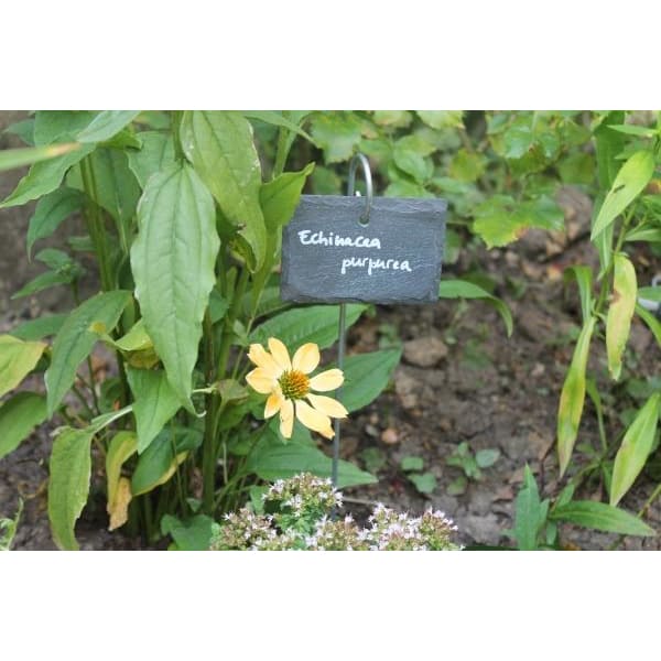 gardenmate-10x-pflanzschilder-schiefer-am-metallstab-h-55-cm-stil-naturell-schri image 3
