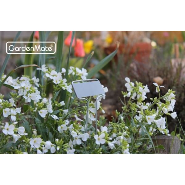 gardenmate-25er-set-pflanzschilder-banner-aus-metall-26-cm-hoch-wetterfeste-besc image 7
