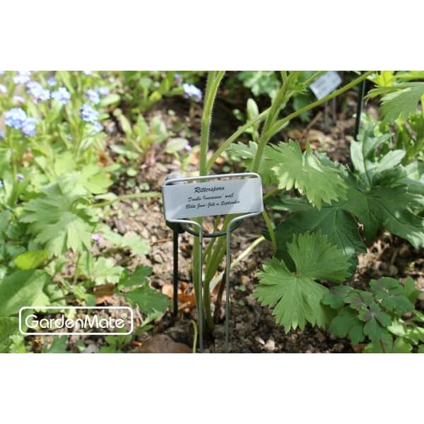 gardenmate-25er-set-pflanzschilder-banner-aus-metall-26-cm-hoch-wetterfeste-besc image 5