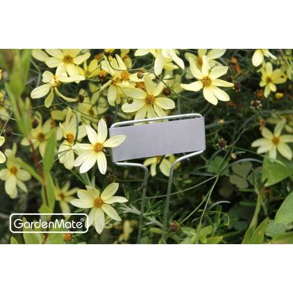 gardenmate-25er-set-pflanzschilder-banner-aus-metall-26-cm-hoch-wetterfeste-besc image 4