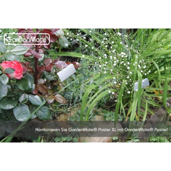 gardenmate-25x-pflanzschilder-poster-aus-metall-h-30-cm-rostfreies-zinkblech-bes image 6