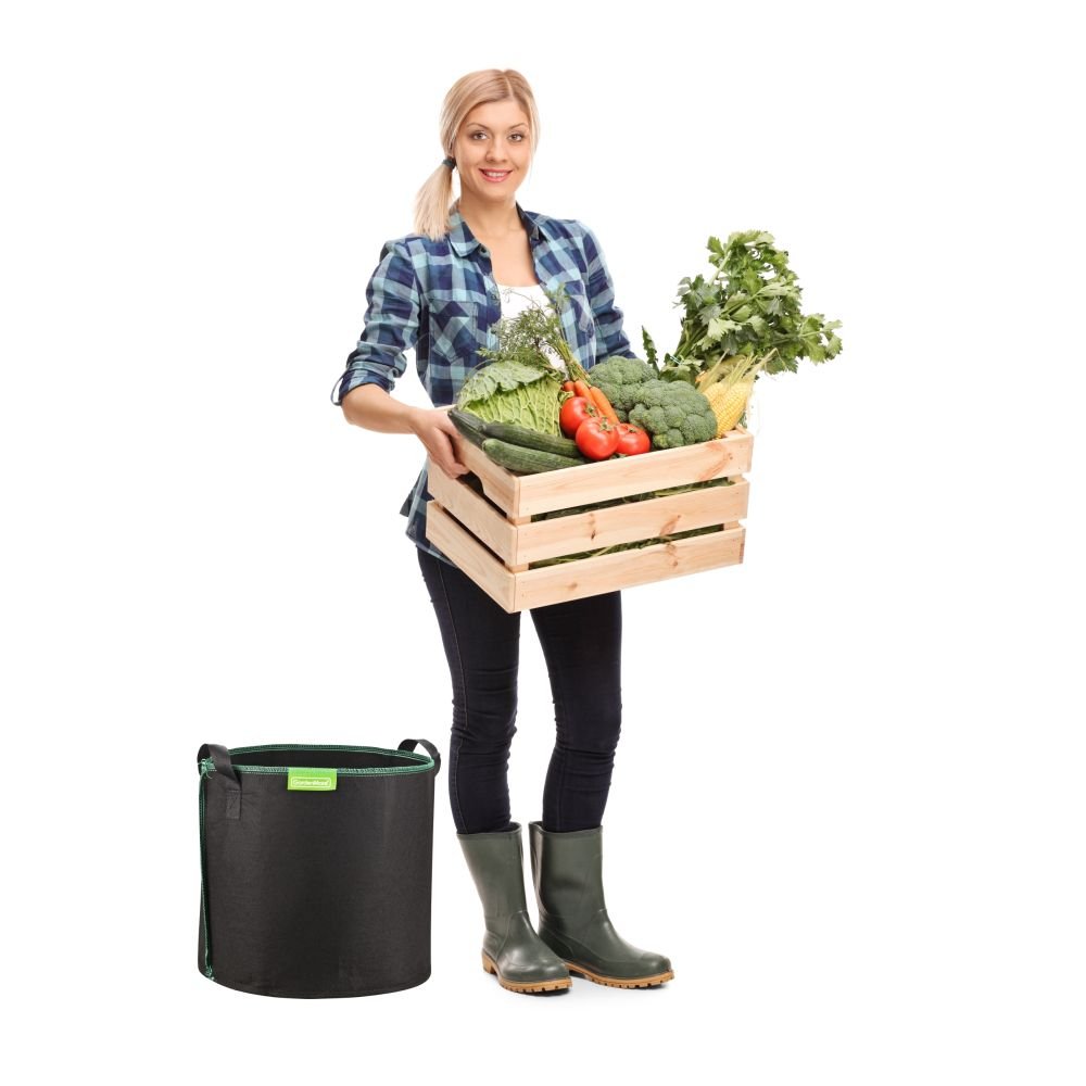 gardenmate-pflanzsack-blackline-aus-vliesstoff-schwarzer-pflanzsack-mit-hybrid-v image 5