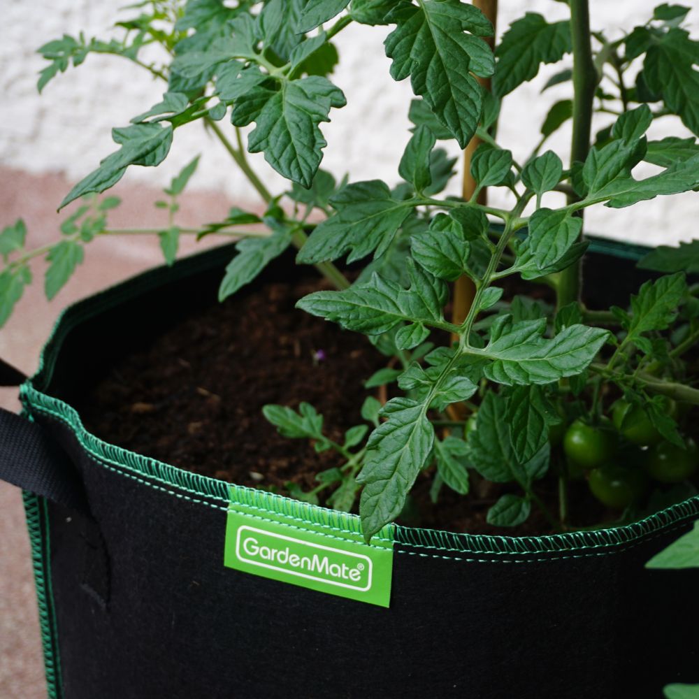 gardenmate-pflanzsack-blackline-aus-vliesstoff-schwarzer-pflanzsack-mit-hybrid-v image 4