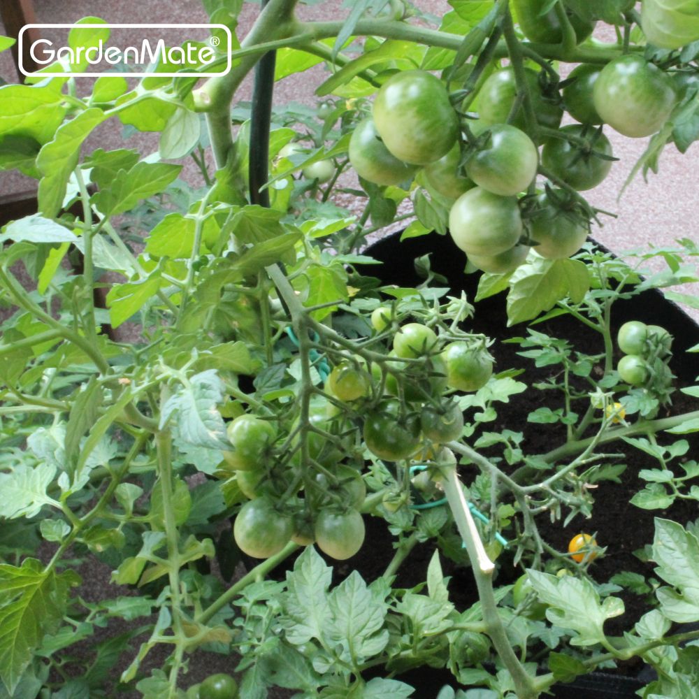 gardenmate-pflanzsack-blackline-aus-vliesstoff-schwarzer-pflanzsack-mit-hybrid-v image 3