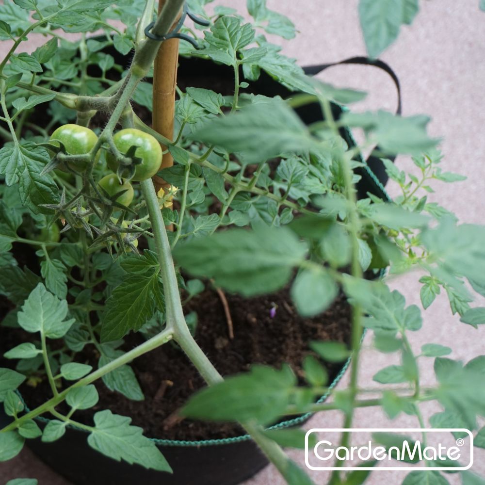 gardenmate-pflanzsack-blackline-aus-vliesstoff-schwarzer-pflanzsack-mit-hybrid-v image 2