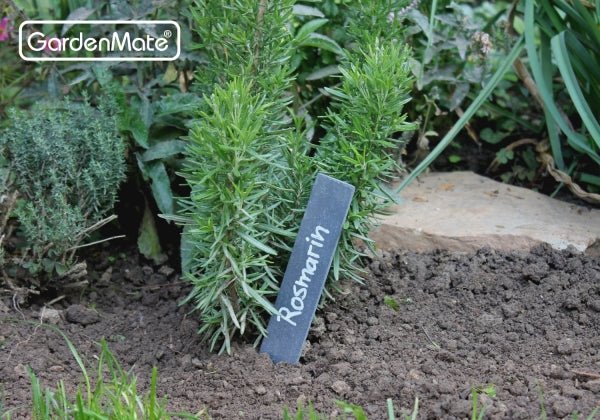 gardenmate-8er-set-pflanzschilder-aus-naturschiefer-xl-20-x-3-cm-wetterfeste-sch image 3