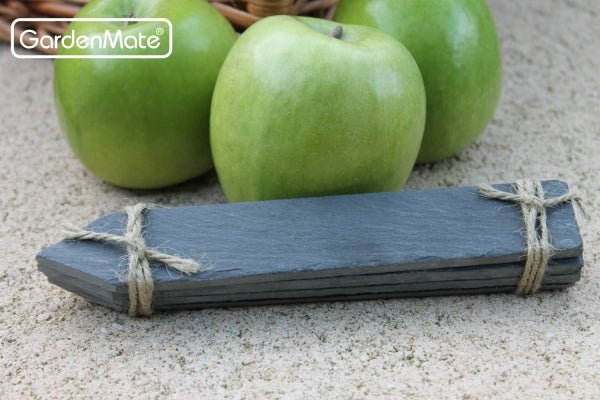 gardenmate-8er-set-pflanzschilder-aus-naturschiefer-xl-20-x-3-cm-wetterfeste-sch image 2